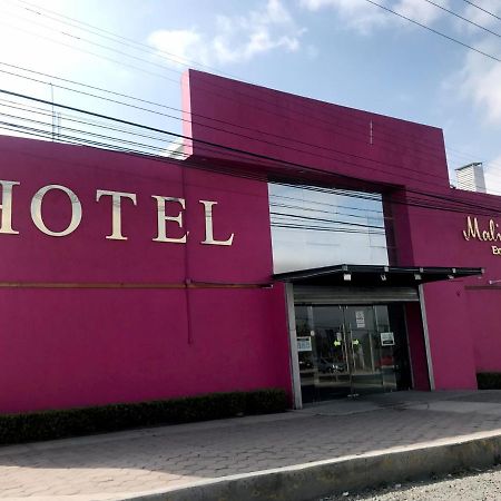 Malinalli Express 아피자코 외부 사진